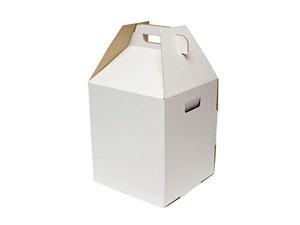 SpecialT | Disposable Cake Carrier Tall Cake Caddy 2 or 3 Layer Cake Carrier - 12 Inch Tall 10x10 Cake Box 10-Pack SpecialT | Disposable Cake Carrier Tall Cake Caddy 2 or 3 Layer Cake Carrier - 12 Inch Tall 10x10 Cake Box 10-Pack
