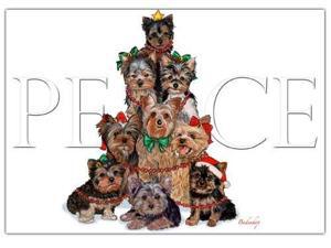 Yorkshire Terrier Christmas Cards Peace : 10 Holiday Cards with Envelopes - ADORABLE! Yorkshire Terrier Christmas Cards Peace : 10 Holiday Cards with Envelopes - ADORABLE!
