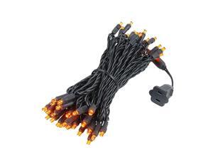 Novelty Lights 50 Light LED Christmas Mini Light Set, Outdoor Lighting Party Patio String Lights, Amber, Black Wire, 25 Feet