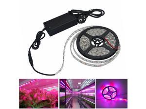 LED Grow Lights Growing LED light Strip 5050 IP65 Plant Growth Light for Greenhouse Hydroponic plant 5m/lot AC100-240V LED Grow Lights Growing LED light Strip 5050 IP65 Plant Growth Light for Greenhouse Hydroponic plant 5m/lot AC100-240V