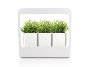 GrowLED Plant Grow Light LED Indoor Garden Plus, Kitchen Garden with Timer Function, 24V Low Safe Voltage, Ideal for Plant Grow Novice Or Enthusiasts, Various Plants, DIY Decoration, White Grow Light GrowLED Plant Grow Light LED Indoor Garden Plus, Kitchen Garden with Timer Function, 24V Low Safe Voltage, Ideal for Plant Grow Novice Or Enthusiasts, Various Plants, DIY Decoration, White Grow Light