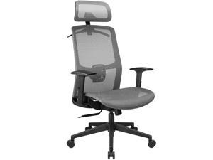 Furmax Ergonomic Office Chair Executive Chair with Mesh Seat High Back Computer Desk Chair with Adjustable Headrest Lumbar Support Armrest Rolling Task Chair with Clothes Hanger (Gray)