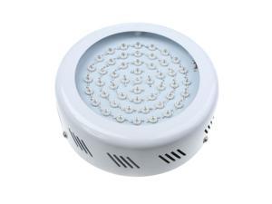 Indoor 50pcs LED Grow Plants Light Round Panel with Cooling Fan 50W Blue Red Environment-friendly Indoor 50pcs LED Grow Plants Light Round Panel with Cooling Fan 50W Blue Red Environment-friendly
