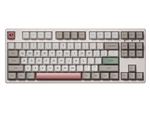 Akko 3087V2 9009 Retro TKL Gaming Mechanical Keyboard Double Shot Dye Sub PBT Keycaps NKRO Detachable USB Type-C White/Grey/Pink/Green