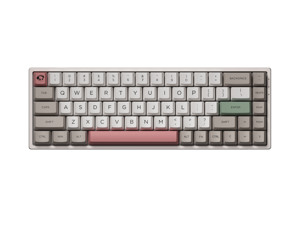 Akko 3068 9009 Retro 68 Keys Wired Mini Gaming Mechanical Keyboard Double Shot Dye Sub PBT Keycaps NKRO Detachable USB Type-C White/Grey/Pink/Green Akko 3068 9009 Retro 68 Keys Wired Mini Gaming Mechanical Keyboard Double Shot Dye Sub PBT Keycaps NKRO Detachable USB Type-C White/Grey/Pink/Green