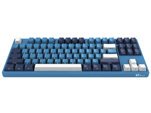 Akko 3087SP Ocean Star TKL Gaming Mechanical Keyboard Cherry MX Brown Switch 87 Keys Double Shot Dye Sub PBT Keycaps NKRO Detachable USB Type-C Wired Side Printed/Carved Letter Blue/White