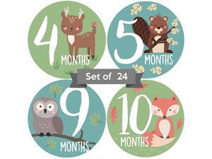 Monthly Stickers | Woodland Creatures Milestone Stickers | Newborn Boy or Girl Animal Stickers | Month Stickers for Boy | Gender Neutral | Unisex Monthly Milestone Stickers Set of 24 Monthly Stickers | Woodland Creatures Milestone Stickers | Newborn Boy or Girl Animal Stickers | Month Stickers for Boy | Gender Neutral | Unisex Monthly Milestone Stickers Set of 24