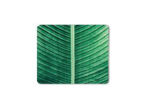 Tropical Green Leaves Mouse Pad Summer Natural Plant Outdoor Vibrant Banana Leaves Gaming Mouse Mat NonSlip Rubber Base Thick Mousepad for Laptop Computer PC 95x79 Inch Tropical Green Leaves Mouse Pad Summer Natural Plant Outdoor Vibrant Banana Leaves Gaming Mouse Mat NonSlip Rubber Base Thick Mousepad for Laptop Computer PC 95x79 Inch
