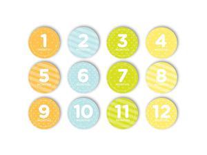 First Year Monthly Milestone Photo Sharing Baby Belly Stickers 112 Months Neutral