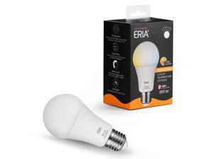 echo plus light bulb