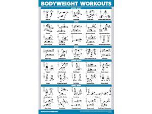 Tone Strength Training Chart 18" x 27" Suspension Laminated Exercise Poster 