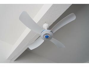 Fan Blades Ceiling Fans Lighting Ceiling Fans Home