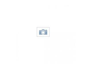 Pgwide Prem Bond Paper 3in Core 36x300 Pgwide Prem Bond Paper 3in Core 36x300