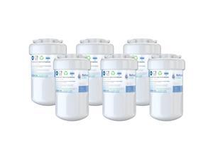 Refresh Replacement Water Filter 2 Pack Fits GE DSHS6VGBBCSS Refrigerators
