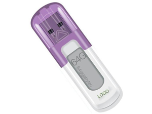 Lexar JumpDrive V10 64GB USB 3.0 Flash Drive LJDV10-64GB (White Purple SLEEVE) 000-113... Lexar JumpDrive V10 64GB USB 3.0 Flash Drive LJDV10-64GB (White Purple SLEEVE) 000-113...