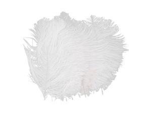 10pcs White Ostrich Feathers 6.7-9 Inch 10pcs White Ostrich Feathers 6.7-9 Inch