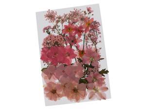 36/37/38/39/42Pc Natural Real Pressed Dried Flowers DIY Scrapbook Pink 36/37/38/39/42Pc Natural Real Pressed Dried Flowers DIY Scrapbook Pink