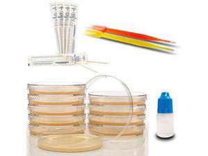 Bacteria Science Kit Prepoured Agar Plates Kit Top Science Fair Project Kit Superior Bacteria Growth Award Winning Experiment Ebook Have Fun While Learning Microbiology Now Bacteria Science Kit Prepoured Agar Plates Kit Top Science Fair Project Kit Superior Bacteria Growth Award Winning Experiment Ebook Have Fun While Learning Microbiology Now