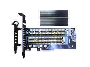 GLOTRENDS 2 in 1 22110 M.2 Adapter for M.2 PCIE SSD and M.2 SATA SSD + M.2 Heatsink GLOTRENDS 2 in 1 22110 M.2 Adapter for M.2 PCIE SSD and M.2 SATA SSD + M.2 Heatsink