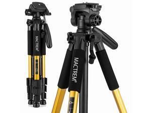 PT55 Travel Camera Tripod Lightweight Aluminum for DSLR SLR Canon Nikon Sony Olympus DV with Carry Bag 11 lbs5kg Load Gold 1 PT55 Travel Camera Tripod Lightweight Aluminum for DSLR SLR Canon Nikon Sony Olympus DV with Carry Bag 11 lbs5kg Load Gold 1