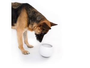 Laifug tumbler dog/cat gray bowl anti-food flip, protection dog/cat cervical, science feeding fun eating(6.7In×5.5In) Laifug tumbler dog/cat gray bowl anti-food flip, protection dog/cat cervical, science feeding fun eating(6.7In×5.5In)