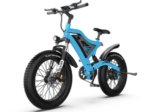 AOSTIRMOTOR Electric Mountain Bike 20" 4.0 inch Fat Tire Ebike, 500W motor, 48V 15AH Removable Lithium Battery, Electric Bicycle for Adults S18-M(Blue) AOSTIRMOTOR Electric Mountain Bike 20" 4.0 inch Fat Tire Ebike, 500W motor, 48V 15AH Removable Lithium Battery, Electric Bicycle for Adults S18-M(Blue)