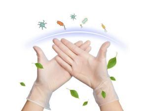 Large Size 100 Pcs Disposable Gloves PVC Vinyl Nitrile Gloves Transparent Powder-Free Latex-Free Use for Medical Dental Checks Kitchen Cooking Baking Garden Pet Cleaning Safety Food Handling Salon Large Size 100 Pcs Disposable Gloves PVC Vinyl Nitrile Gloves Transparent Powder-Free Latex-Free Use for Medical Dental Checks Kitchen Cooking Baking Garden Pet Cleaning Safety Food Handling Salon