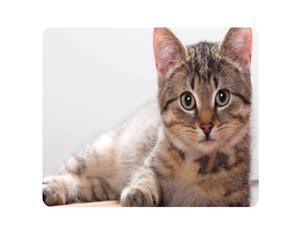 CAT-5 Mouse Pad Cute Cat Picture Anti-Slip Gaming Mouse Mat for PC Computer Laptop MackBook CAT-5 Mouse Pad Cute Cat Picture Anti-Slip Gaming Mouse Mat for PC Computer Laptop MackBook