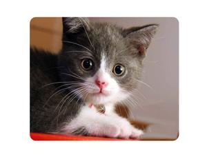 CAT-8 Mouse Pad Cute Cat Picture Anti-Slip Gaming Mouse Mat for PC Computer Laptop MackBook CAT-8 Mouse Pad Cute Cat Picture Anti-Slip Gaming Mouse Mat for PC Computer Laptop MackBook