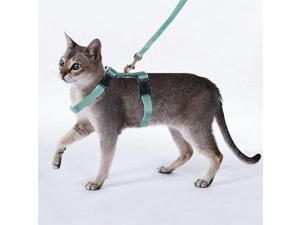 PAWISE Cat Harness and Leash for Cats Adjustable Kitten Walking Harness (Color Random) PAWISE Cat Harness and Leash for Cats Adjustable Kitten Walking Harness (Color Random)