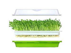 Seed Sprouter Tray SoilFree Food Grad PP Healthy Wheatgrass Grower with Cover and 2 Size Hole Seed Sprouter Tray SoilFree Food Grad PP Healthy Wheatgrass Grower with Cover and 2 Size Hole