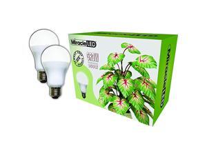 Almost Free Energy 150W Commercial Hydroponic Ultra Grow Lite Daylight White Full Spectrum LED Indoor Plant Growing Light Bulb For DIY Horticulture amp Indoor Gardening 604305 2Pack Almost Free Energy 150W Commercial Hydroponic Ultra Grow Lite Daylight White Full Spectrum LED Indoor Plant Growing Light Bulb For DIY Horticulture amp Indoor Gardening 604305 2Pack