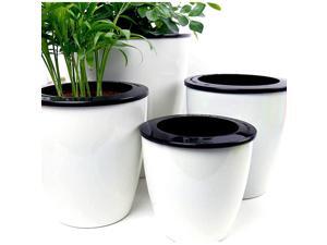 3 Pack Self Watering Planter African Violet Pots Plastic White Flower Plant Pot with Wick Rope for All House Plants Flowers Herbs Large 3 Pack Self Watering Planter African Violet Pots Plastic White Flower Plant Pot with Wick Rope for All House Plants Flowers Herbs Large