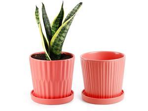 Medium Plant Pots 6 Inch Coral Cylinder Ceramic Planters with Attached Saucers Two Line Grain Great House and Office Decor Set of 2