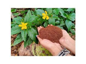 Coco Peat Brick 14 lbs Coco Peat Brick 14 lbs