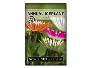 Right Seeds Ice Plant Flower Seeds for Planting Beautiful Flowers to Plant in Your Garden NonGMO Heirloom Seeds Wonderful Gardening Gifts 1 Right Seeds Ice Plant Flower Seeds for Planting Beautiful Flowers to Plant in Your Garden NonGMO Heirloom Seeds Wonderful Gardening Gifts 1