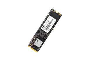 Biwin PCI-e 2280 SSD