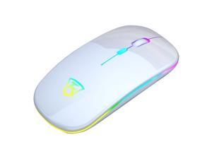 Wireless 2.4G Ergonomic Mute Rechargeable LED Backlit Gaming Mouse for PC Laptop