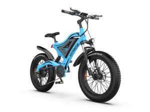 AOSTIRMOTOR Electric Mountain Bike 26" 4.0 inch Fat Tire Ebike, 750W motor, 48V 15AH Removable Lithium Battery, Electric Bicycle for Adults (Blue) AOSTIRMOTOR Electric Mountain Bike 26" 4.0 inch Fat Tire Ebike, 750W motor, 48V 15AH Removable Lithium Battery, Electric Bicycle for Adults (Blue)