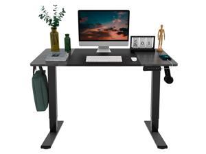 FlexiSpot Home Office Electric Height Adjustable Standing Desk 48"x24" Inches Dual Motor Stand Up Desk with USB Charging Port and Hooks Black