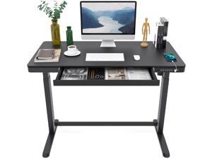 FlexiSpot 48"x24" Home Office Electric Height Adjustable Standing Desk Black Computer Desk With USB Charge Ports