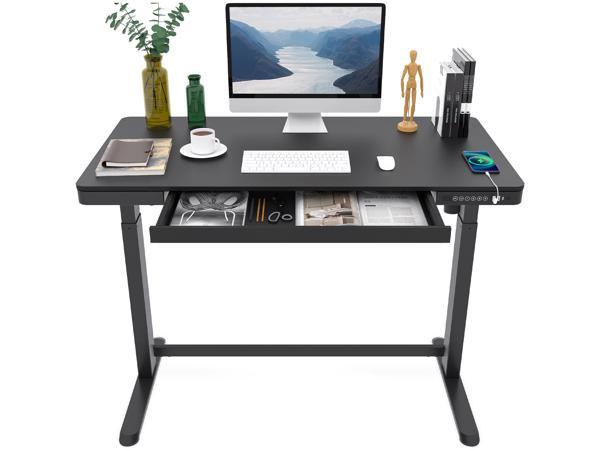 FLEXISPOT 48x24 Erogonomic Home Office Height Adjustable Standing Desk  Curved Bamboo Desktop Gray Frame 