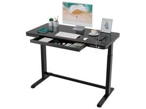 FLEXISPOT Home Office Electric Height Adjustable Desk 48" x 24" Desktop Ergonomic Memory Controller Standing Desk with Drawer Computer Desk With USB Charge Ports Tempered Glass Table Top