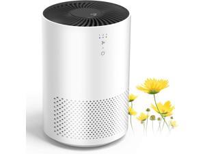 Intelabe HEPA Air Purifier Air Filter with Fragrance Sponge Air Cleaner Eliminate Smoke, Dust,Pollen, Dander Air Purifiers for Home, Bedroom, Living Room, Kitchen and Office (Available for California)