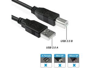 Cable Cord for Canon Pixma HP Envy 4500 Wireless Color Photo with Scanner and Copier HP Deskjet 2542 Allinone 10FT Cable Cord for Canon Pixma HP Envy 4500 Wireless Color Photo with Scanner and Copier HP Deskjet 2542 Allinone 10FT