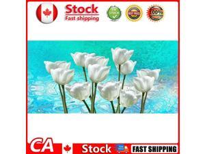 DIY Full Round Diamond Painting White Tulips Rhinestone Wall Picture Crafts CA DIY Full Round Diamond Painting White Tulips Rhinestone Wall Picture Crafts CA