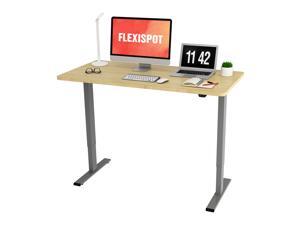FLEXISPOT Home Office Electric Height Adjustable Standing Desk 55 x 28 Inches Stand Up Desk Workstation Computer Desk Variant Color Choice