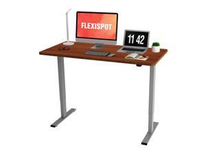 FLEXISPOT Home Office Electric Height Adjustable Standing Desk 55 x 28 Inches Stand Up Desk Workstation Computer Desk Variant Color Choice