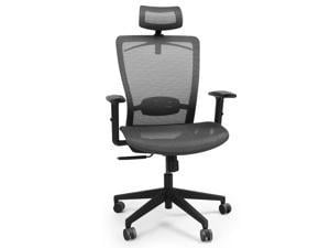 FlexiSpot Ergonomic Executive Office Chair Swivel Height Adjustable Seat Caster Wheels Black Mesh Office Seat