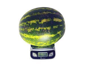 Food Scale Kitchen Scale Postal Scale Weigh in Pounds Ounces Grams Precise Weight Scale 1g 001oz to 11 lbs Batteries Included Food Scale Kitchen Scale Postal Scale Weigh in Pounds Ounces Grams Precise Weight Scale 1g 001oz to 11 lbs Batteries Included